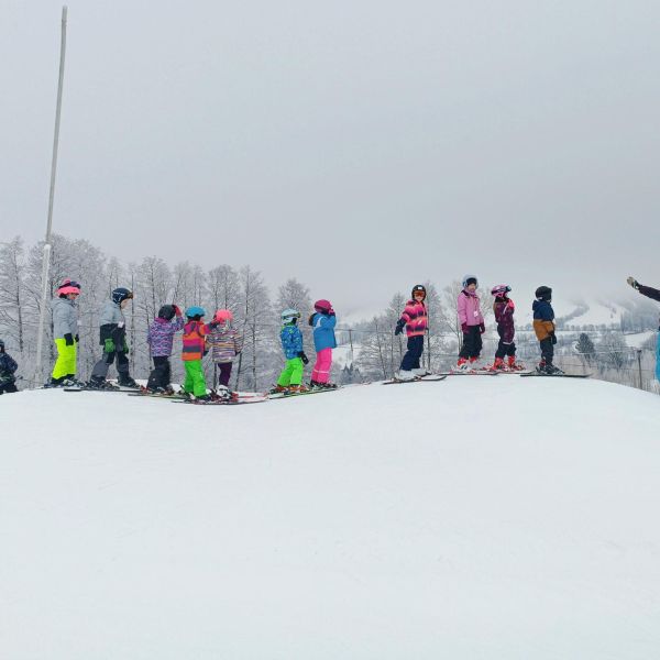 Lyžařsk&aacute; &scaron;kola